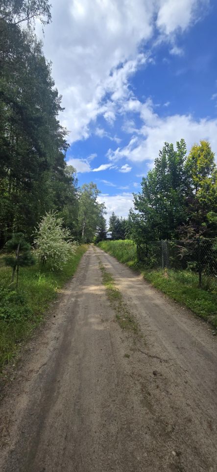 Działka budowlana Lisy. Zdjęcie 3