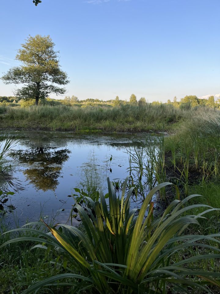 Działka siedliskowa Aleksandrów. Zdjęcie 9