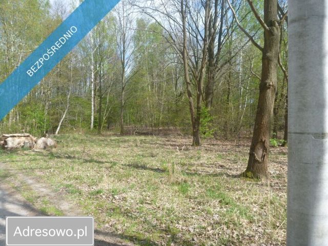 Działka inwestycyjna Nowa Wieś, ul. Spacerowa. Zdjęcie 1
