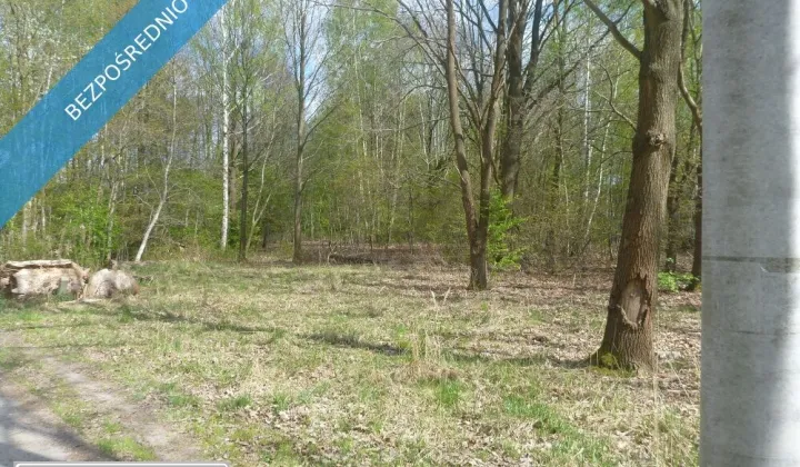 Działka inwestycyjna Nowa Wieś, ul. Spacerowa