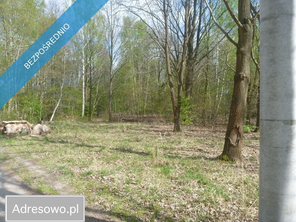 Działka inwestycyjna Nowa Wieś, ul. Spacerowa. Zdjęcie 1