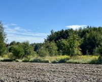 Działka rolno-budowlana Bełchów, ul. Polna. Zdjęcie 2