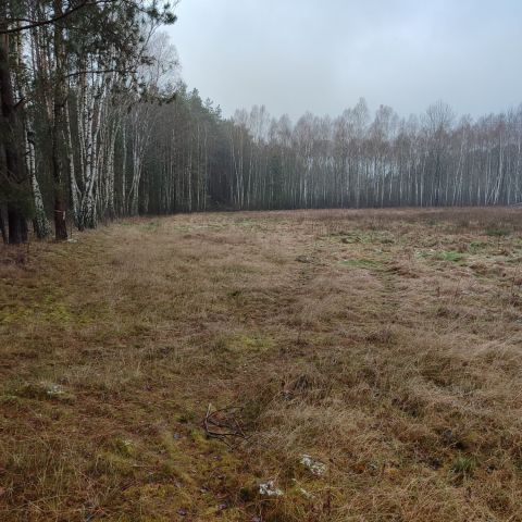 Działka rolno-budowlana Ostrów. Zdjęcie 1