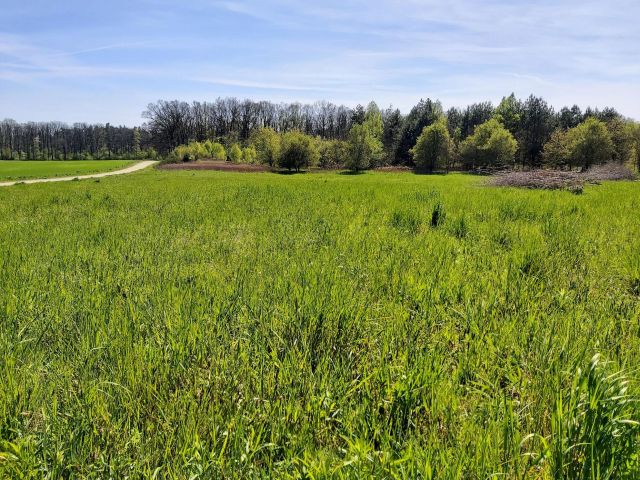 Działka budowlana Oborniki Śląskie. Zdjęcie 1