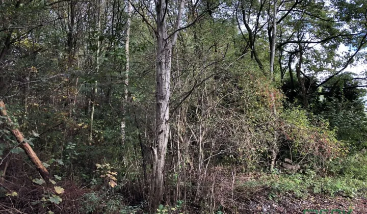 Działka inna Jankowice, ul. Świerklańska