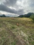 Działka budowlana Brzezie k. Sulechowa, ul. Jana Brzechwy. Zdjęcie 2