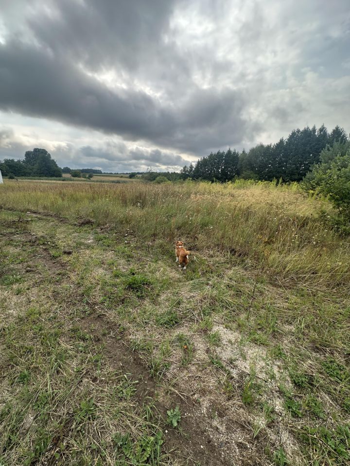Działka budowlana Brzezie k. Sulechowa, ul. Jana Brzechwy. Zdjęcie 2