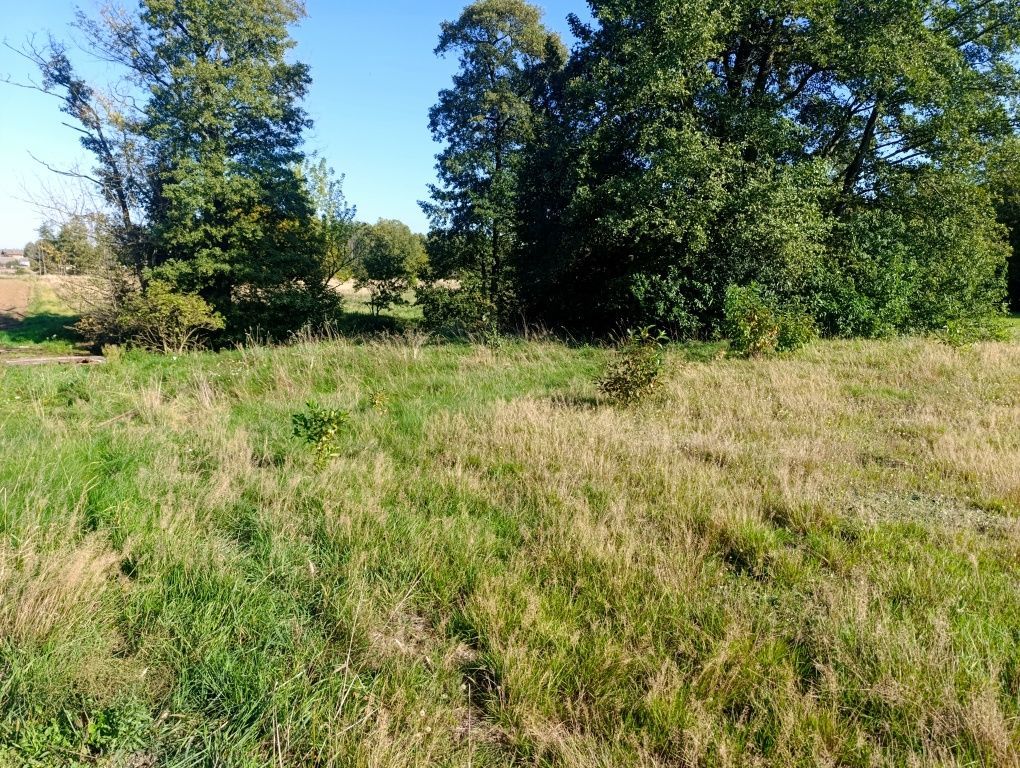 Działka rolna Parma. Zdjęcie 5