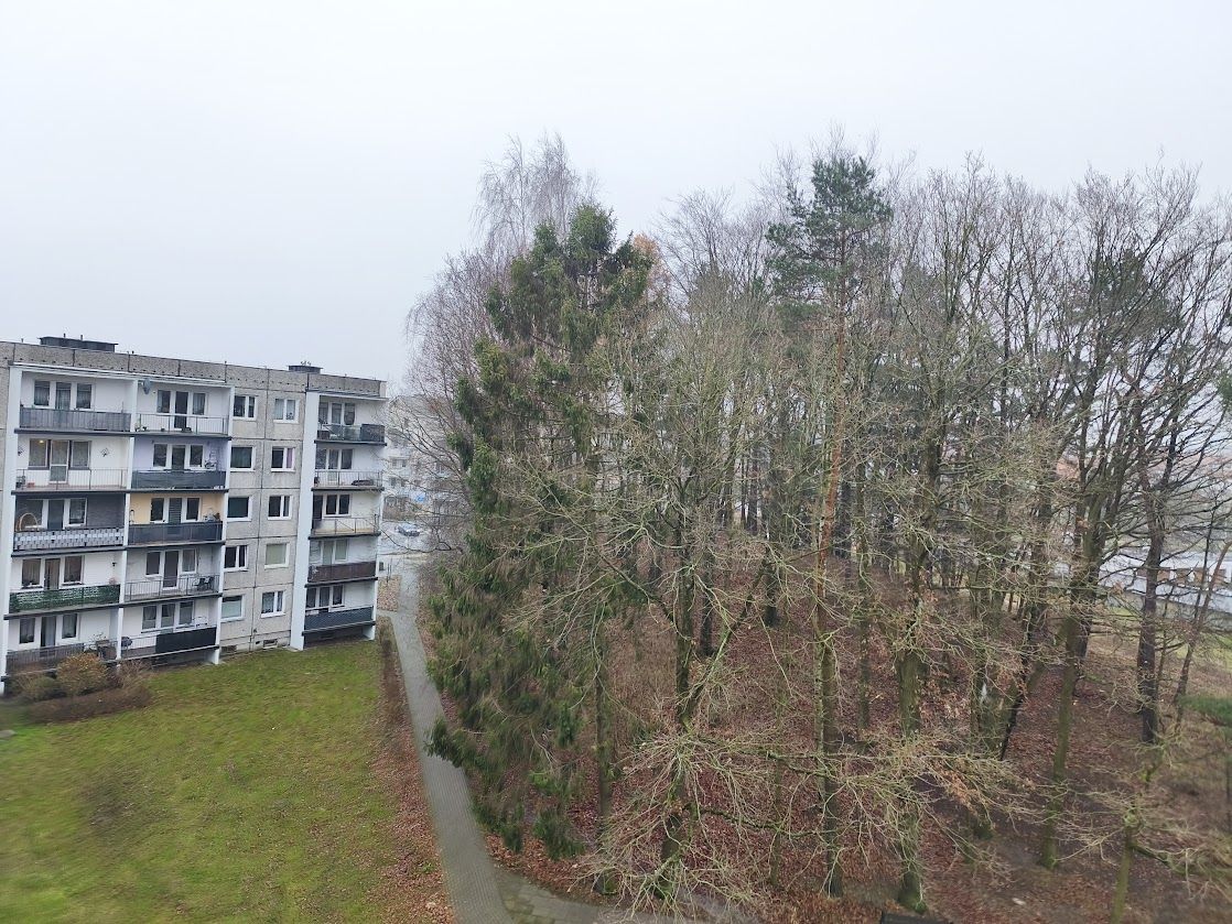 Mieszkanie 3-pokojowe Gdynia Dąbrowa, ul. Kameliowa. Zdjęcie 11