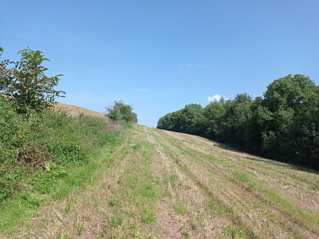 Działka budowlana Kierlikówka Orzechówka. Zdjęcie 2