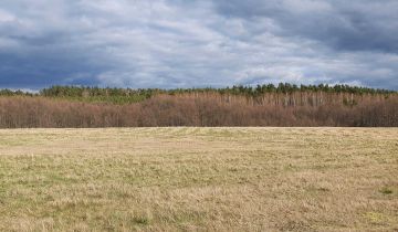 Działka rolno-budowlana Golce