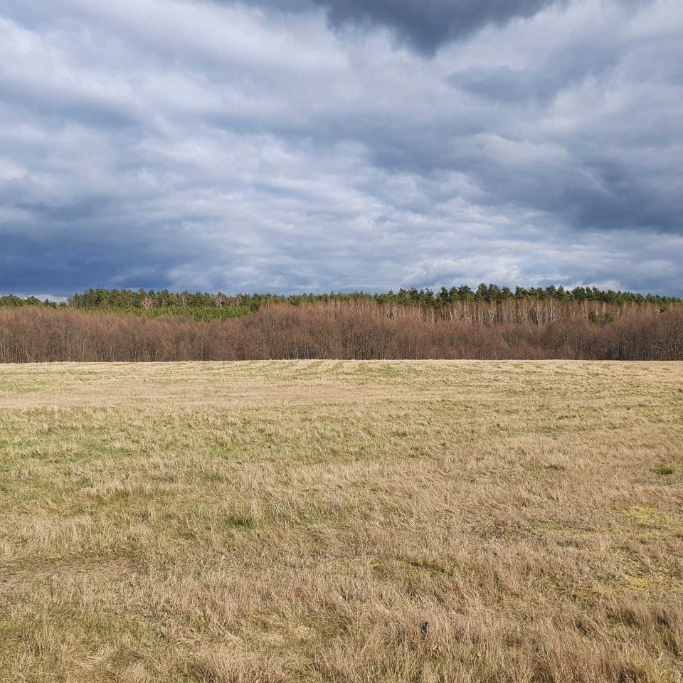 Działka rolno-budowlana Golce