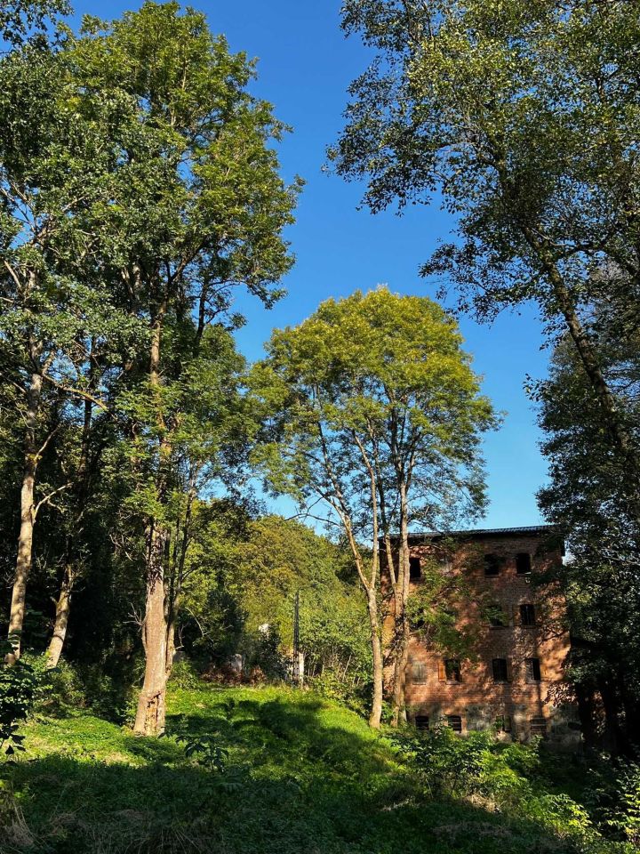 Nieruchomość komercyjna Brzeźnica. Zdjęcie 2