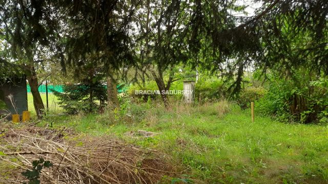 Działka rekreacyjna Lusina, ul. Przymiarki. Zdjęcie 13