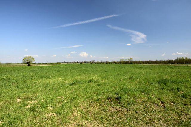 dom wolnostojący, 4 pokoje Bogucice. Zdjęcie 22