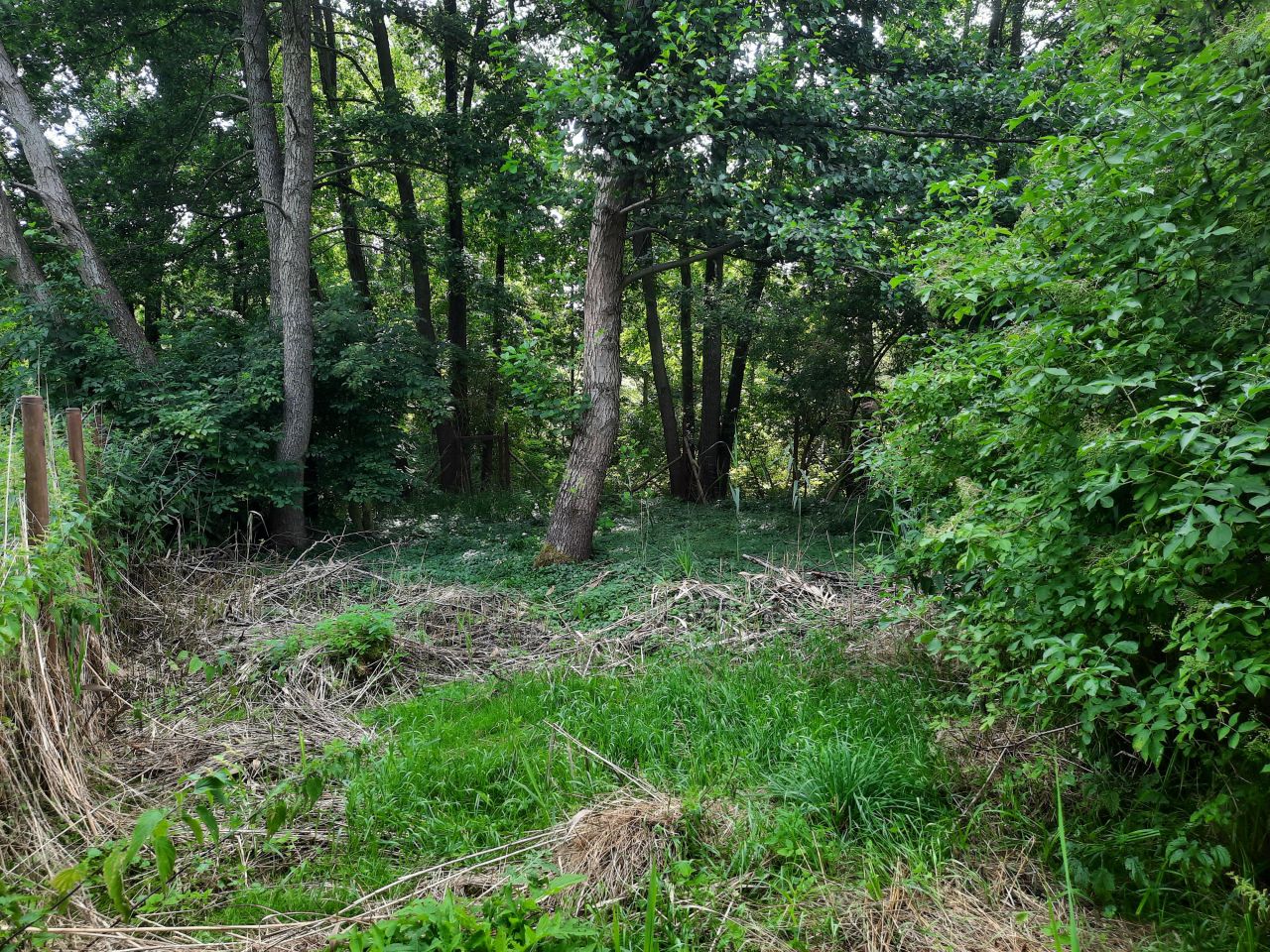 Działka rekreacyjna Minikowo. Zdjęcie 25