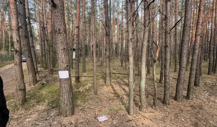 Działka leśna Wola Polska