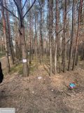 Działka leśna Wola Polska