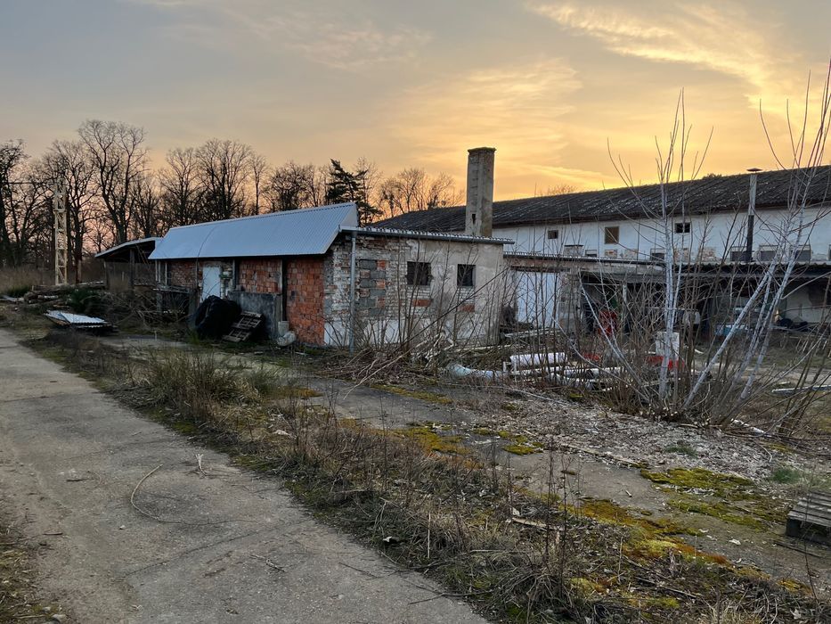 Hala/magazyn Trzcianka. Zdjęcie 6