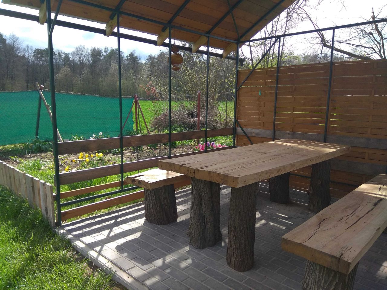 Działka siedliskowa Marianówka. Zdjęcie 6