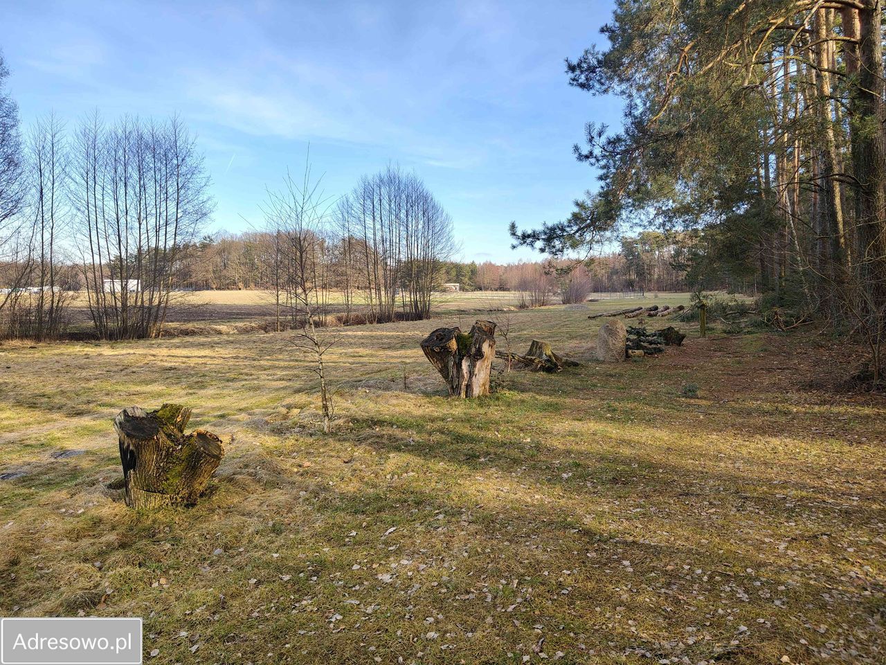Działka budowlana Biadaszka. Zdjęcie 8