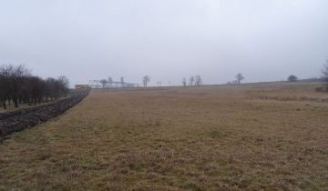 Działka siedliskowa Samostrzałów