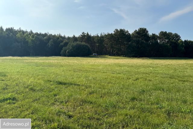 Działka rolna Zimne Zdroje. Zdjęcie 1