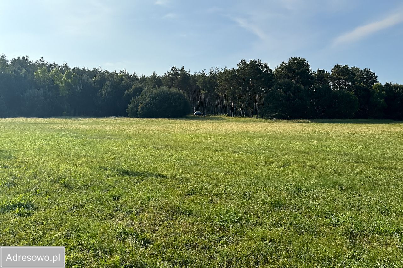 Działka rolna Zimne Zdroje