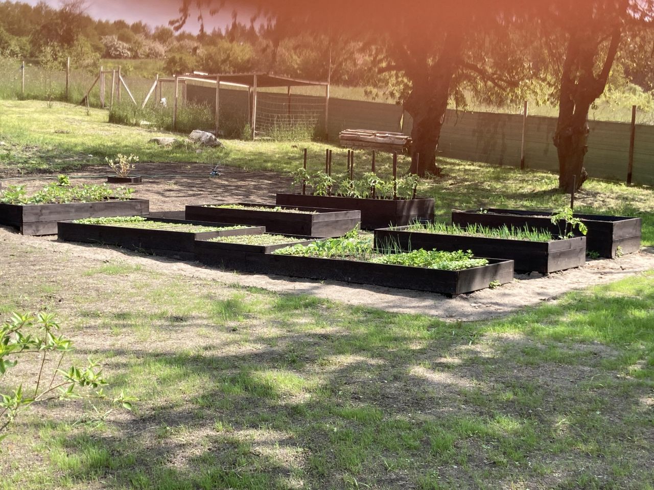 dom wolnostojący, 3 pokoje Drągowina, ul. Kościelna. Zdjęcie 8