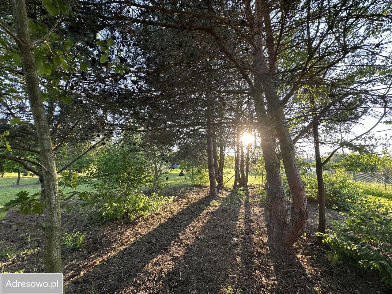 Działka inwestycyjna Złotokłos, ul. Piaseczyńska. Zdjęcie 7