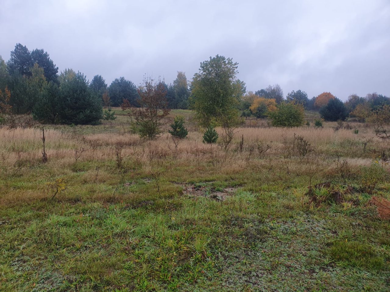 Działka budowlana Trzepnica. Zdjęcie 5