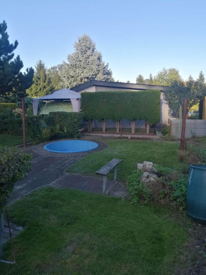 Działka rod Zgierz. Zdjęcie 7