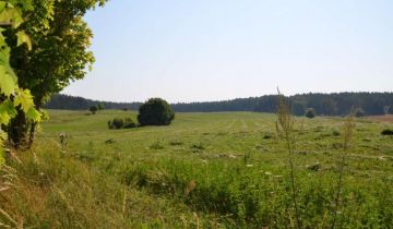 Działka rolna Jurgi