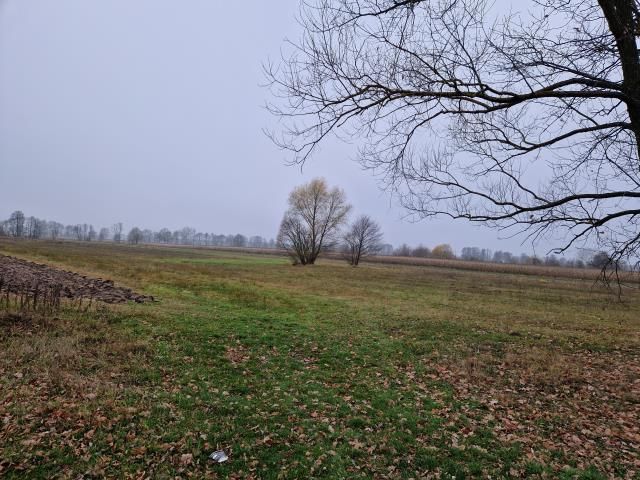 Działka rolna Strachówka. Zdjęcie 5