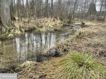 Działka budowlana Przykory. Zdjęcie 3