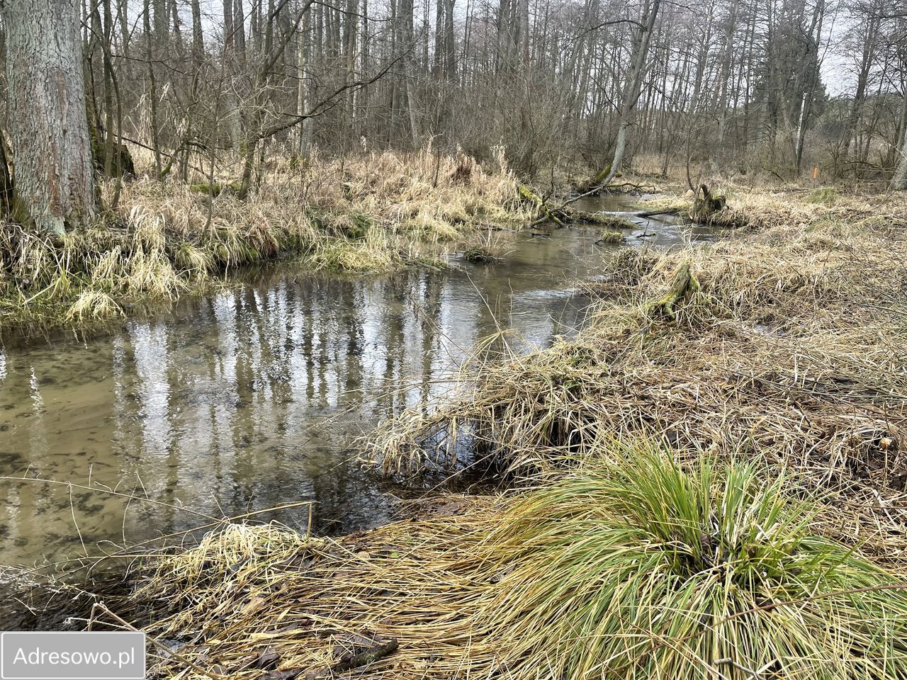 Działka budowlana Przykory. Zdjęcie 4