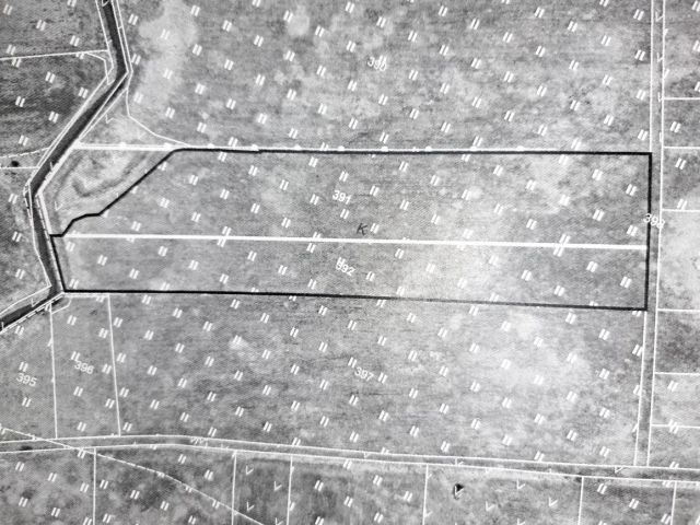 Działka rolna Wroczyńszczyzna. Zdjęcie 1