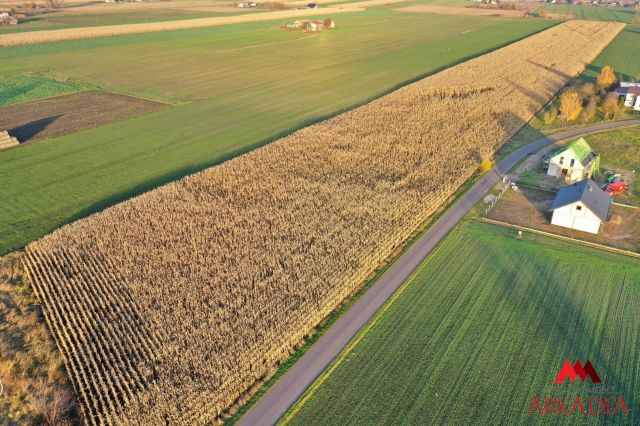 Działka inwestycyjna Lubanie. Zdjęcie 2