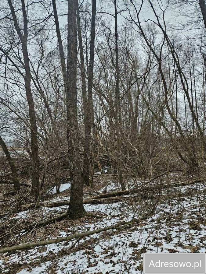 Działka budowlana Łazy Wielkie. Zdjęcie 11