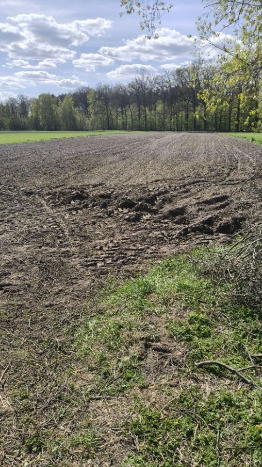 Działka rolno-budowlana Grodziec. Zdjęcie 5