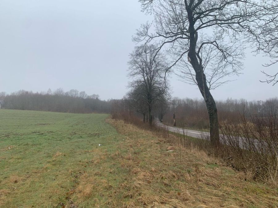 Działka budowlana Mierzyno. Zdjęcie 6