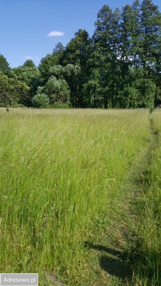 Działka inwestycyjna Żarki, ul. Koziegłowska. Zdjęcie 3