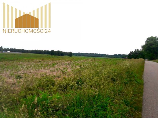 Działka rolna Cegłów. Zdjęcie 4