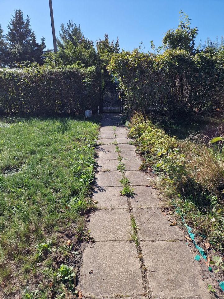 Działka rod Wołomin. Zdjęcie 3