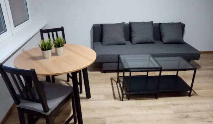 Mieszkanie 1-pokojowe Piotrków Trybunalski, ul. Romana Dmowskiego