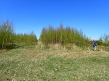 Działka rolna Siedlec. Zdjęcie 4