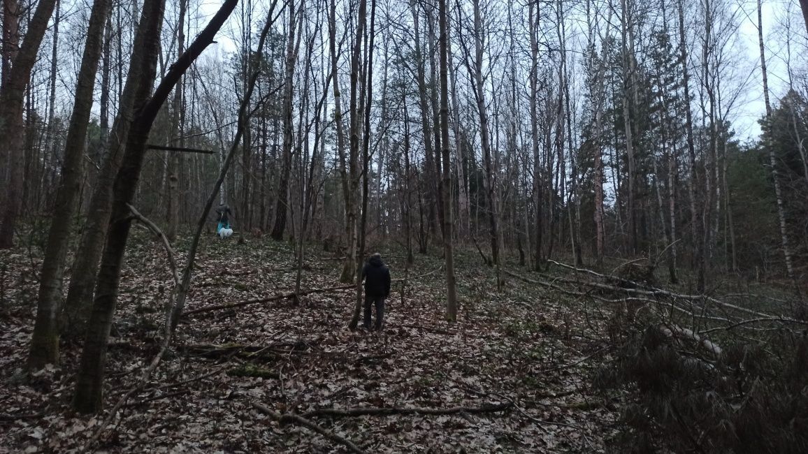 Działka Strzeszyn. Zdjęcie 6