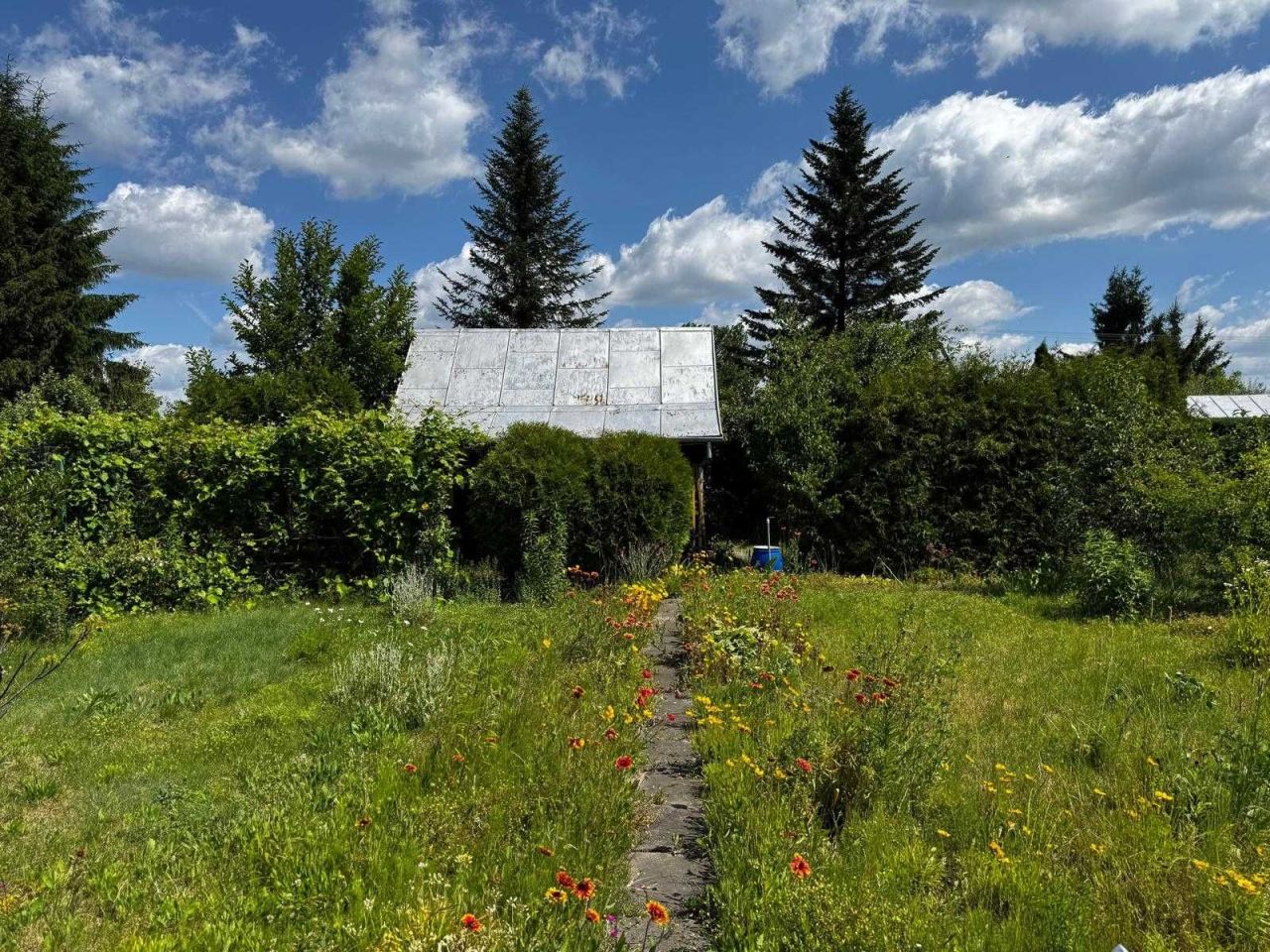 Działka rod Siedlce, ul. Piaskowa. Zdjęcie 6