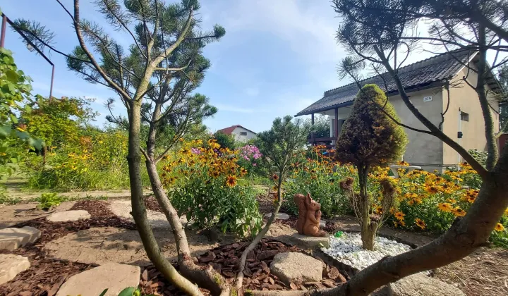 Działka rod Śrem, ul. Józefa Chełmońskiego