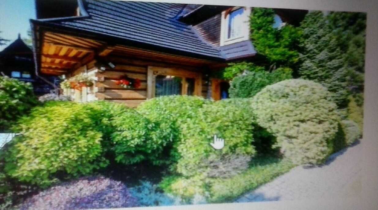 bliźniak Zakopane Jaszczurówka. Zdjęcie 4